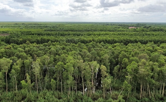 Công bố hiện trạng rừng toàn quốc năm 2023