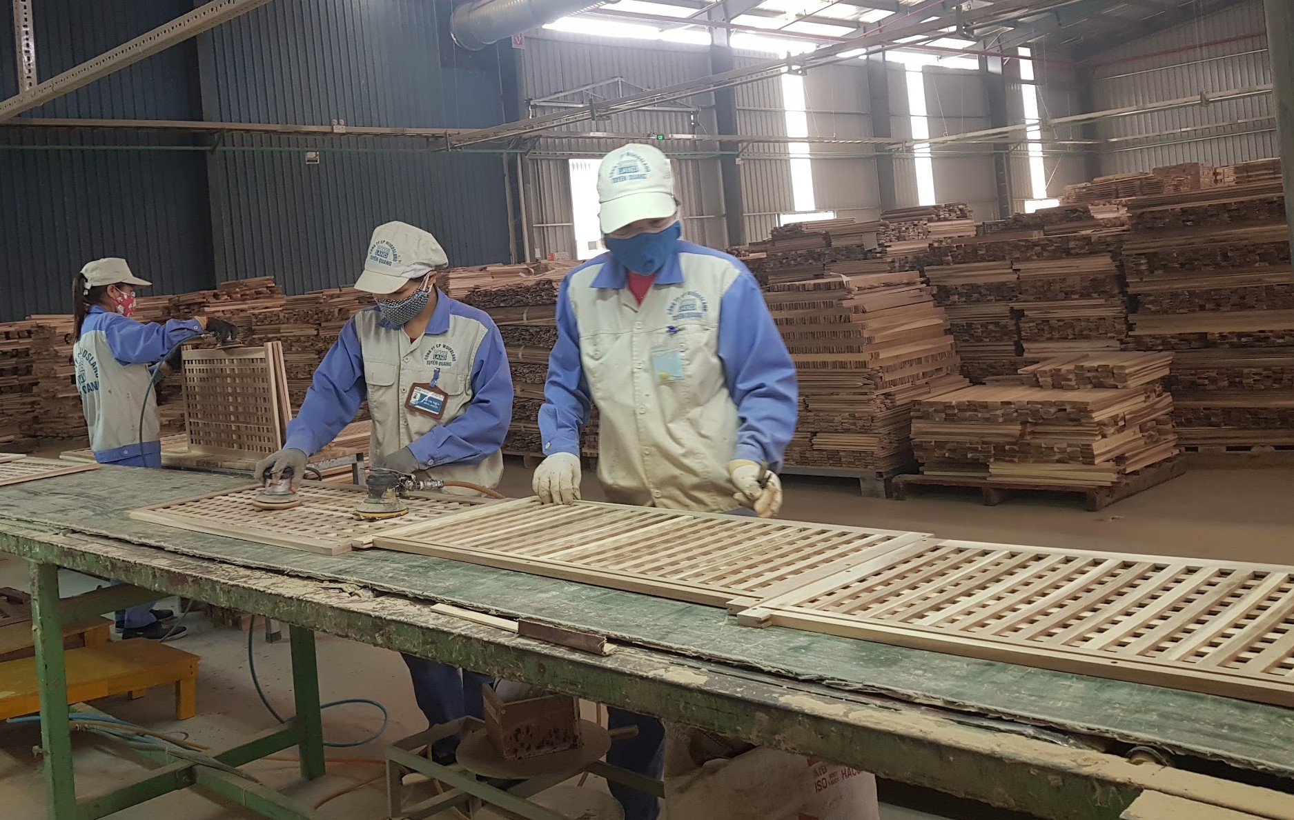 Chung tay vì ngành công nghiệp gỗ vững mạnh
